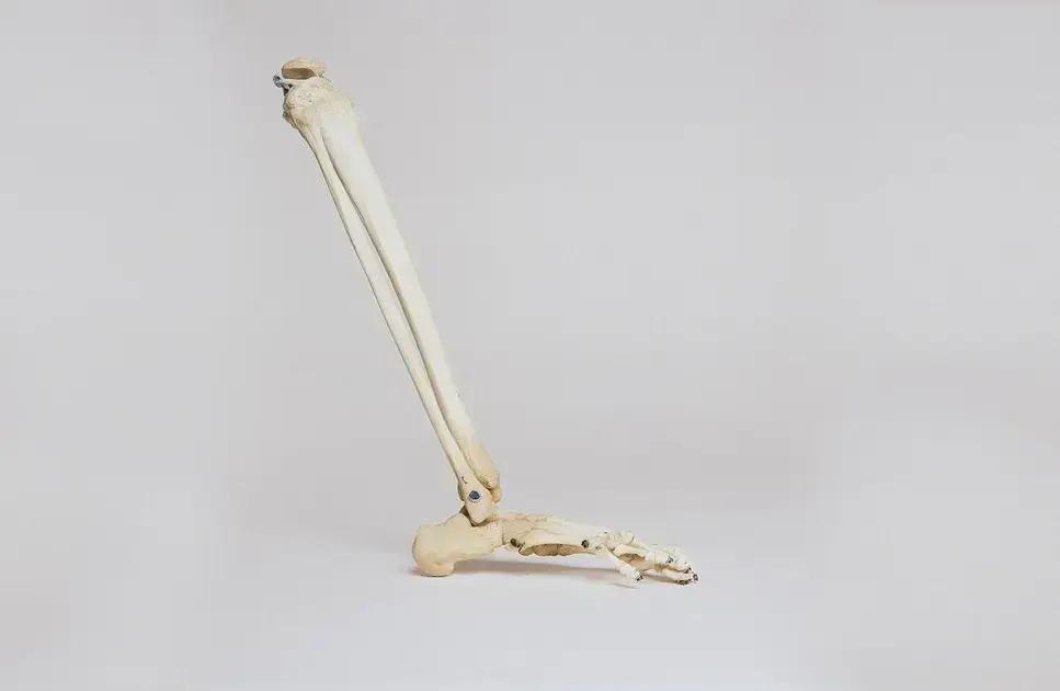 integrating ai in pharmacy operations integrating ai in pharmacy operations