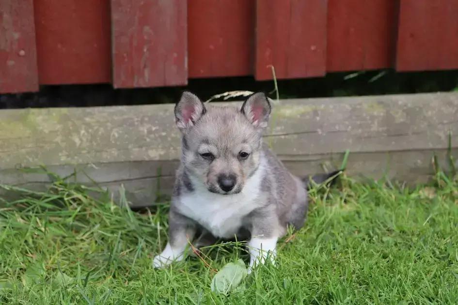 optimizing patient safety with technology