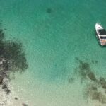 The community’s role in supporting medication adherence through virtual assistants.