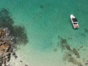 The community’s role in supporting medication adherence through virtual assistants.